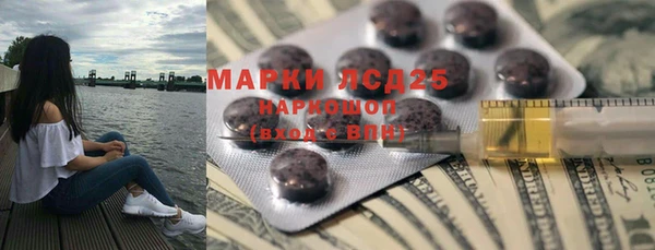 индика Балабаново