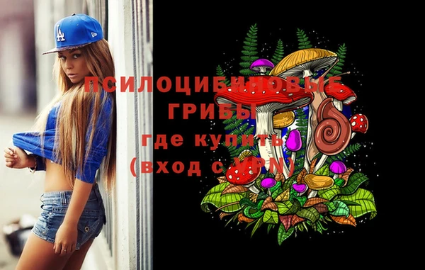 спиды Белоозёрский