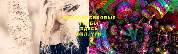 индика Балабаново