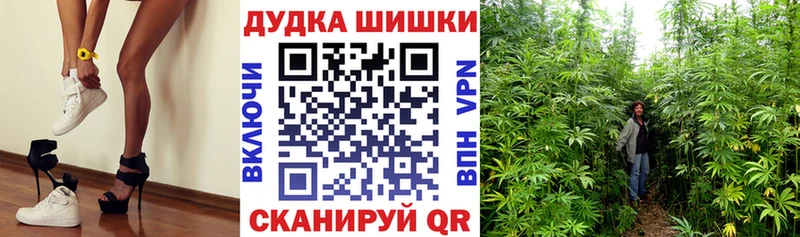 Каннабис индика Покровск